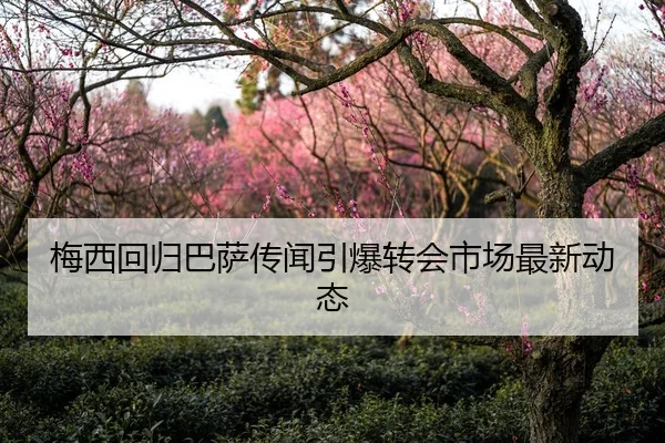 梅西回归巴萨传闻引爆转会市场最新动态